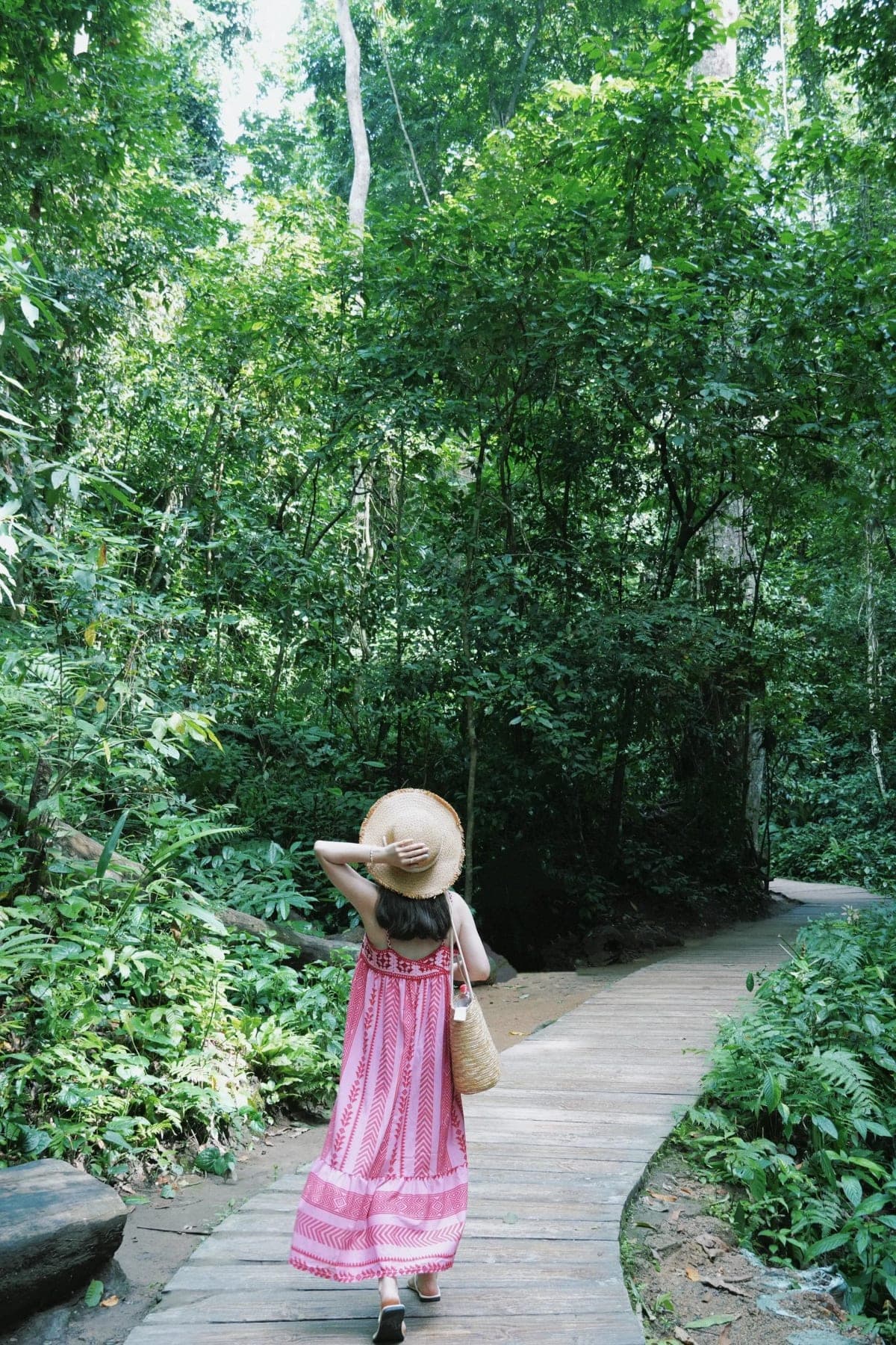 Công viên Rừng Nguyên sinh Tây Song Bản Nạp – ảnh 4 Du khách tham quan Công viên Rừng Nguyên sinh Tây Song Bản Nạp – góc 4