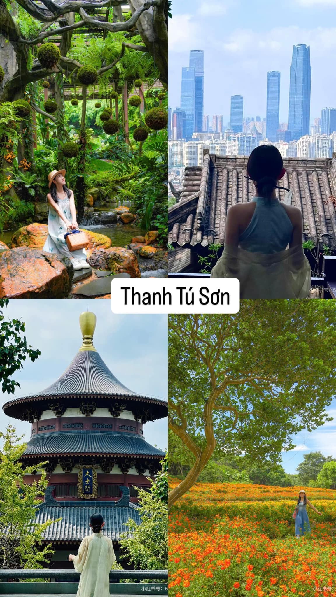 Tour Đông Hưng - Nam Ninh - Biển Bắc Hải 3 Ngày 2 Đêm - Ảnh 4 - Đông Hưng - Nam Ninh - Bắc Hải, Trung Quốc | Sơn Hằng Travel